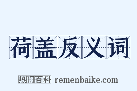 荷盖反义词是什么意思的图片